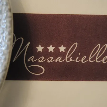 Roc De Massabielle Отель Лурд