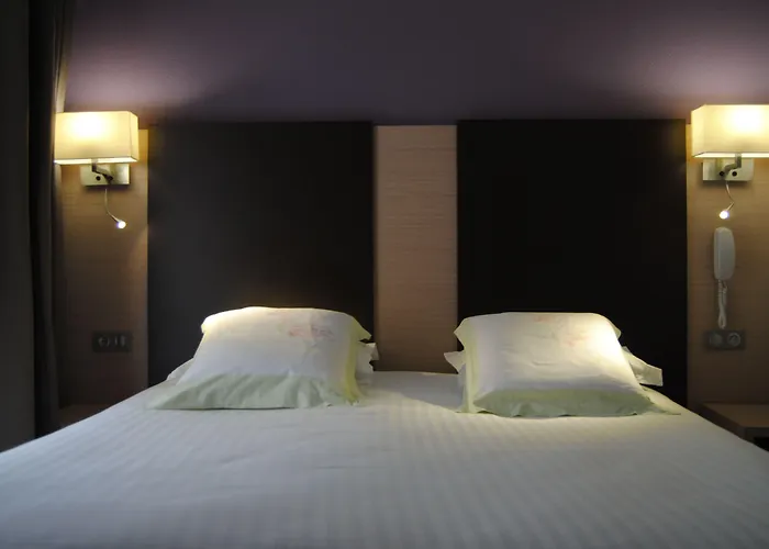 Hotel Roc De Massabielle Lourdes