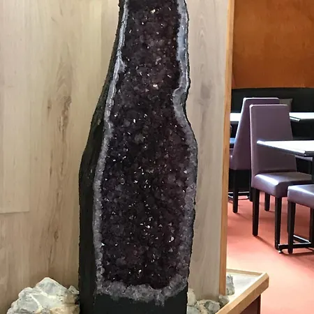 ホテル Roc De Massabielle